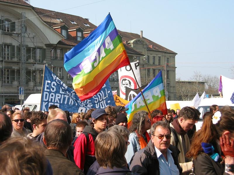 100-0029 IMG