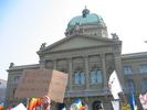 100-0068 IMG